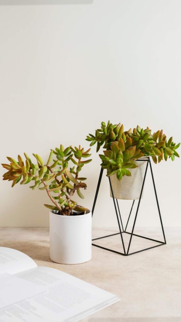 Cubicle Desk Decor Ideas