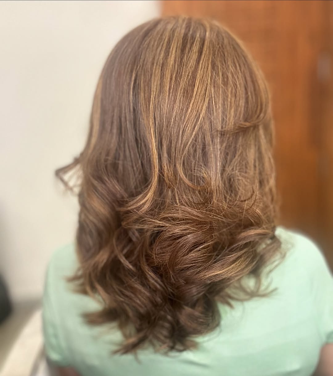 Brunette Hair Dye Ideas