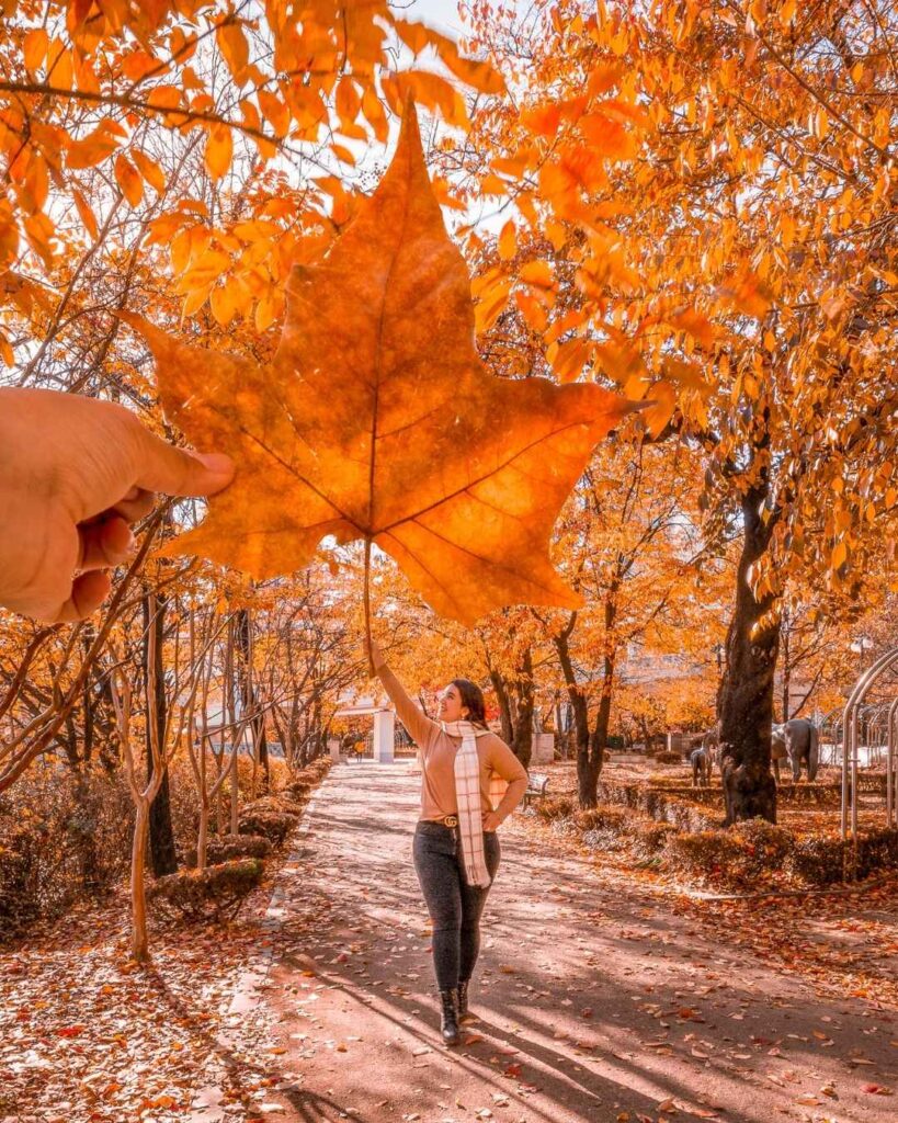 Fall Photo Ideas