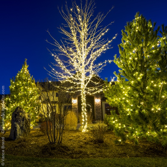Outdoor Christmas Light Ideas