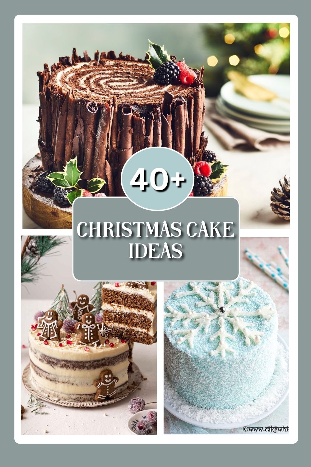 Christmas Cake Ideas