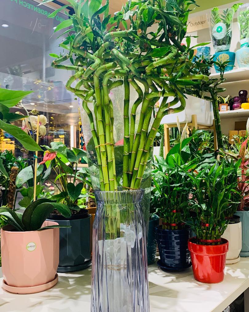 Housewarming Gift Ideas