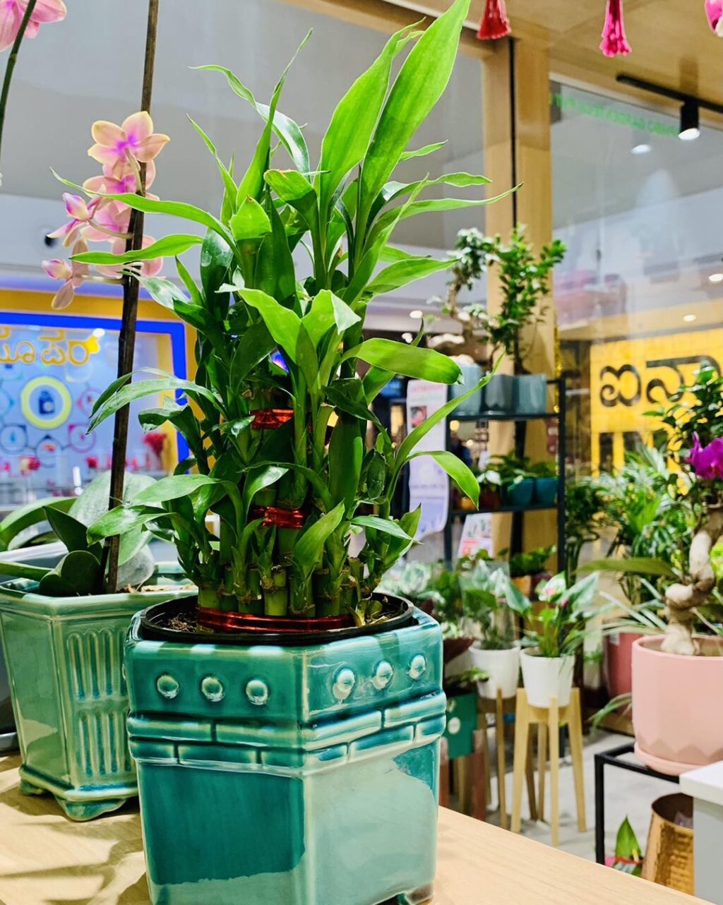 Housewarming Gift Ideas