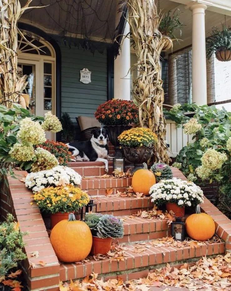 Fall Outdoor Decorating Ideas