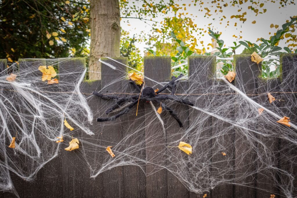 Halloween Decoration Ideas