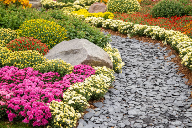 Flower Ideas For Fall In Front Yard