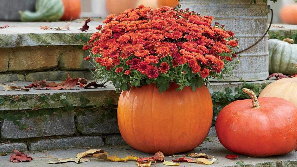 Fall Porch Decor Ideas