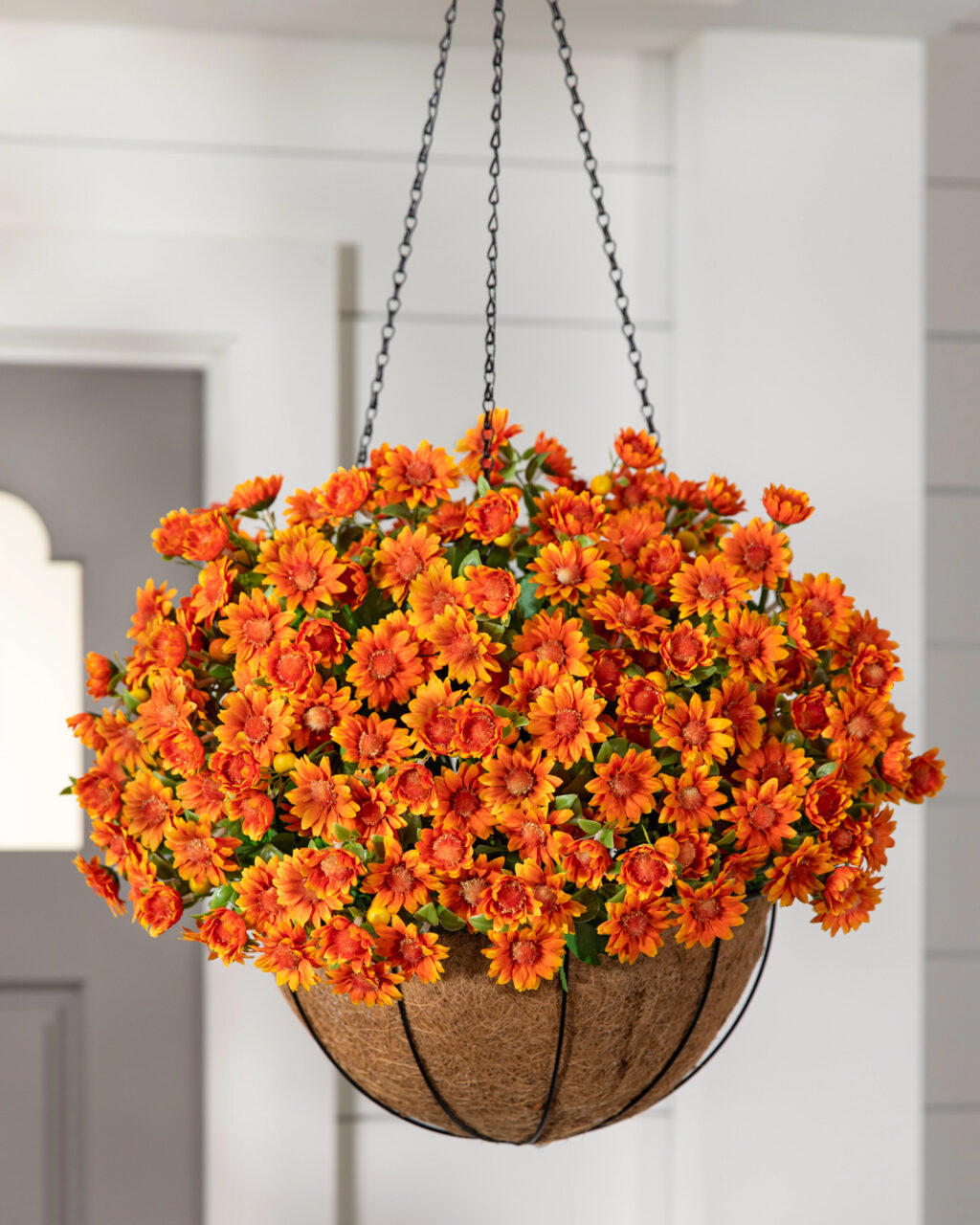 Flower Ideas For Fall In Front Yard
