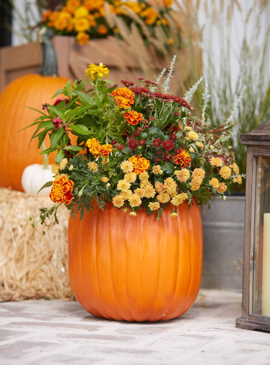 Flower Ideas For Fall In Front Yard
