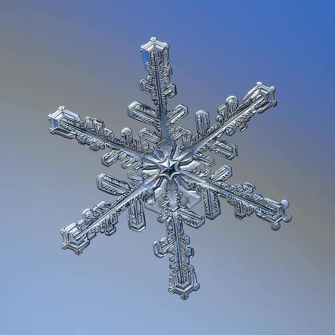 Christmas Card Ideas